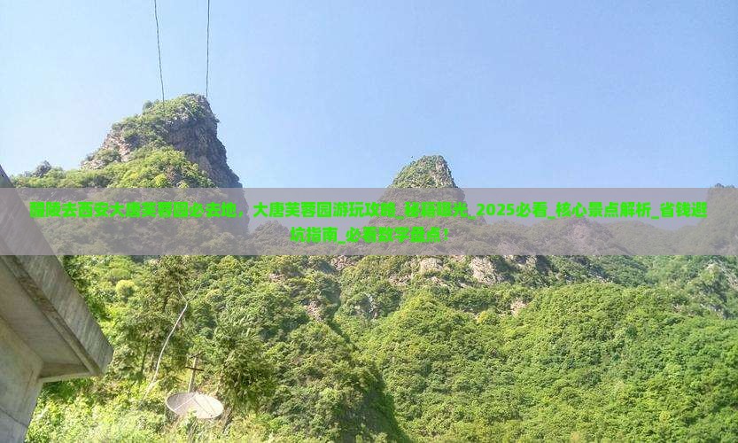 醴陵去西安大唐芙蓉园必去地