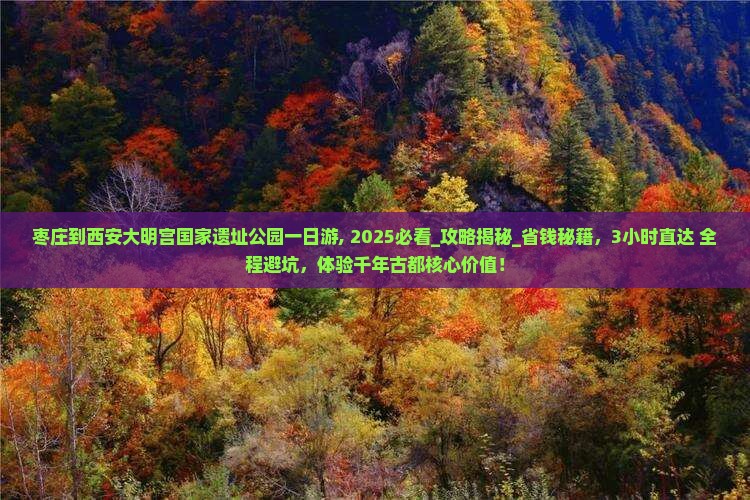 枣庄到西安大明宫国家遗址公园一日游