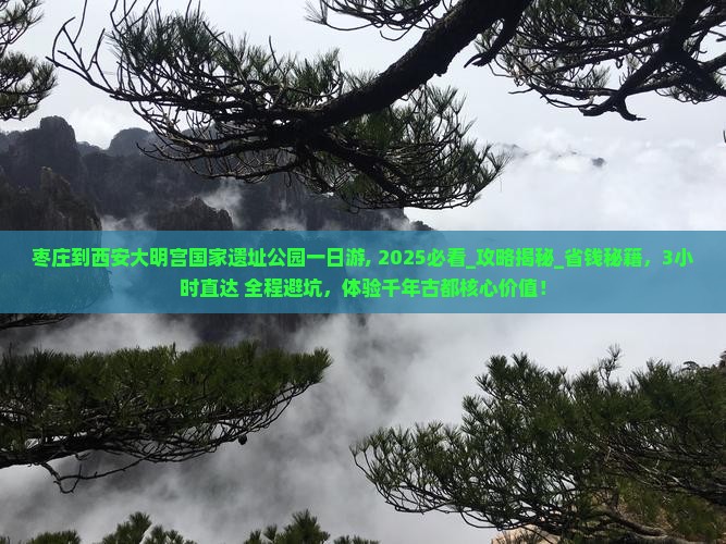 枣庄到西安大明宫国家遗址公园一日游