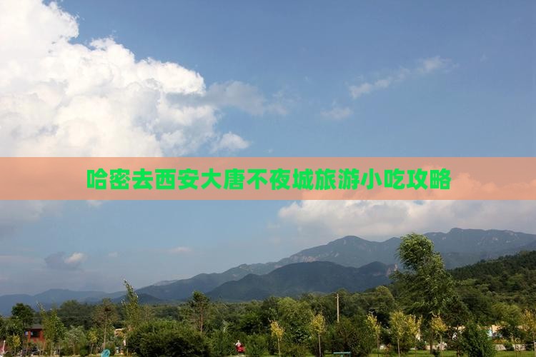 哈密去西安大唐不夜城旅游小吃