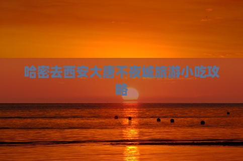 哈密去西安大唐不夜城旅游小吃