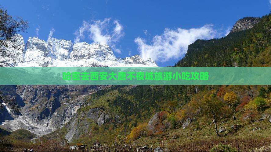 哈密去西安大唐不夜城旅游小吃
