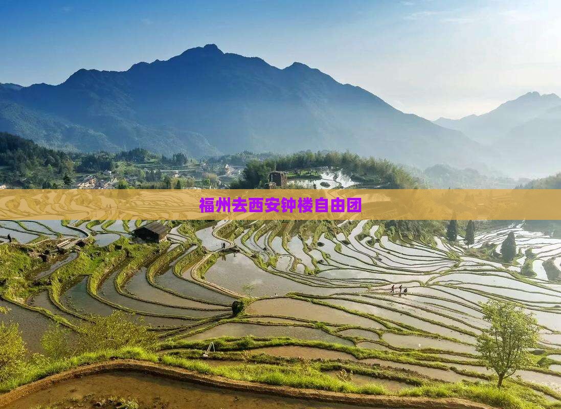 福州去西安钟楼自由团
