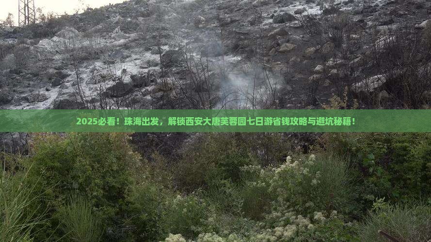 珠海去西安大唐芙蓉园七日游