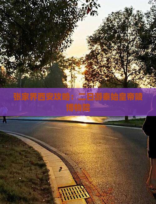 张家界到西安秦始皇帝陵博物院二日游