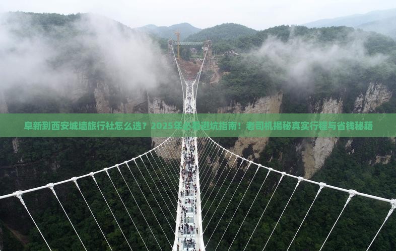 阜新到西安城墙旅行社