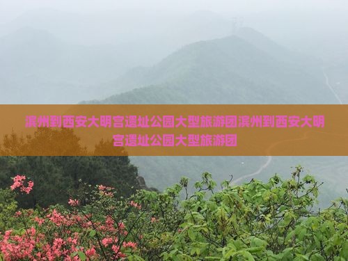 滨州到西安大明宫国家遗址公园大型旅游团