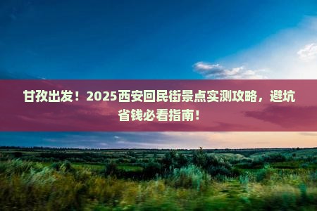 甘孜去西安回民街景点