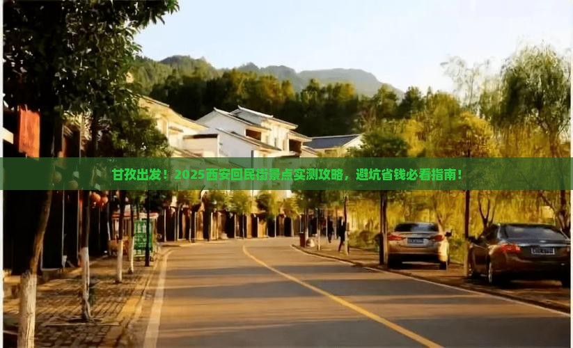 甘孜去西安回民街景点
