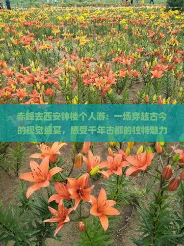 赤峰去西安钟楼个人游