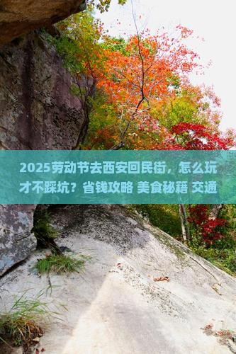 劳动节到西安回民街攻略