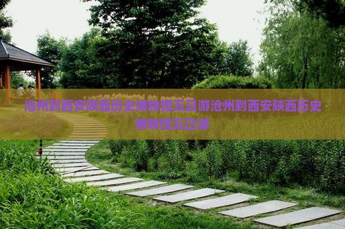 沧州到西安陕西历史博物馆五日游