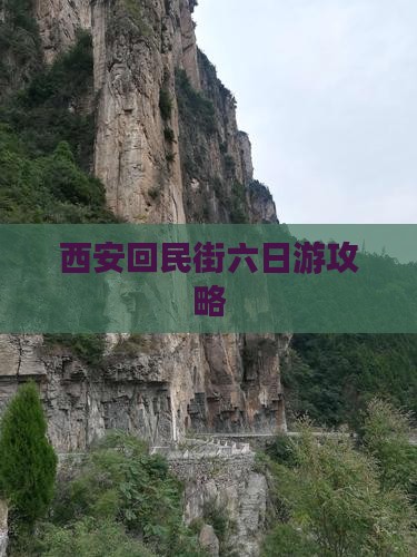 来宾到西安回民街六日游