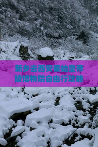 新乡去西安秦始皇帝陵博物院自由行