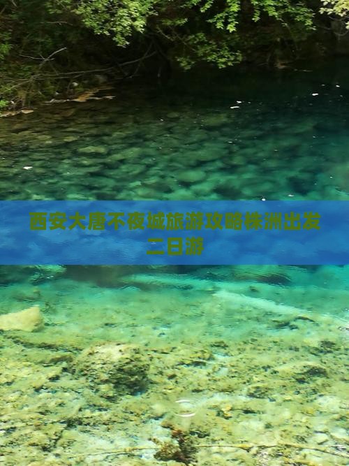 株洲去西安大唐不夜城二日游