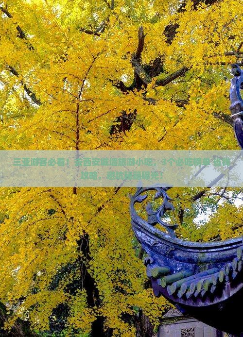 三亚去西安城墙旅游小吃