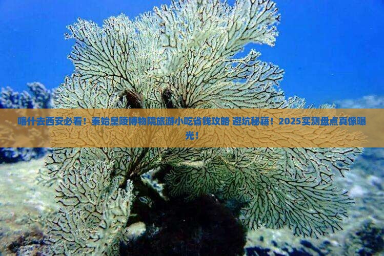 喀什到西安秦始皇帝陵博物院旅游小吃