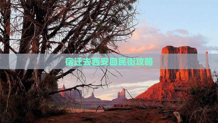宿迁去西安回民街哪里玩