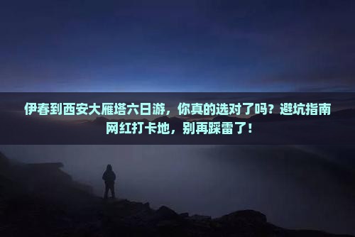 伊春到西安大雁塔六日游