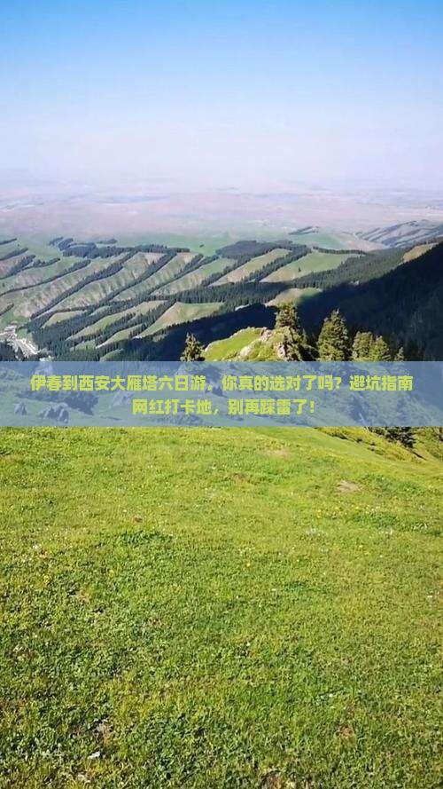 伊春到西安大雁塔六日游