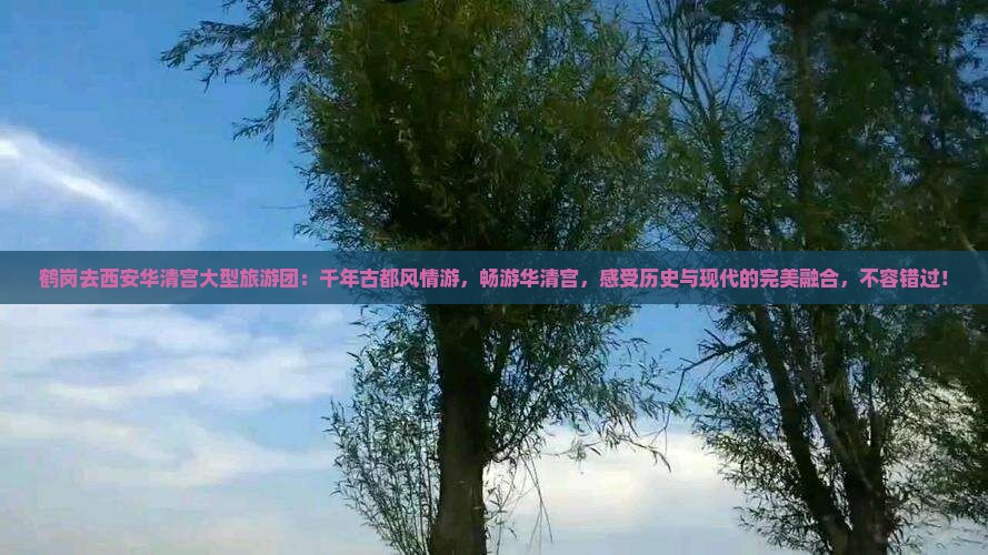 鹤岗去西安华清宫大型旅游团