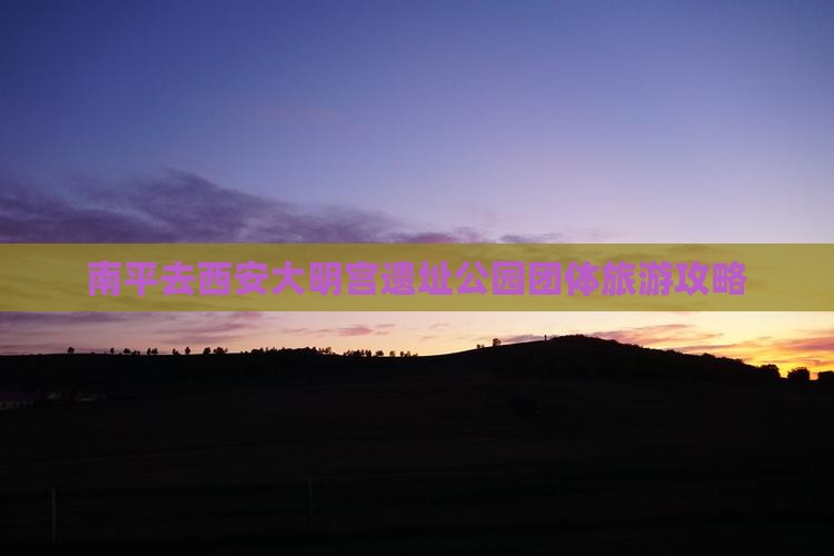 南平去西安大明宫国家遗址公园团体旅游