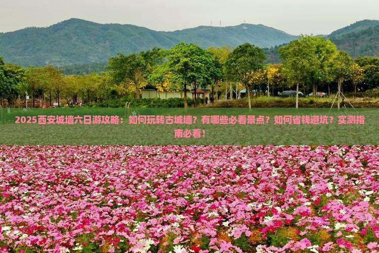 春天去西安城墙六日游