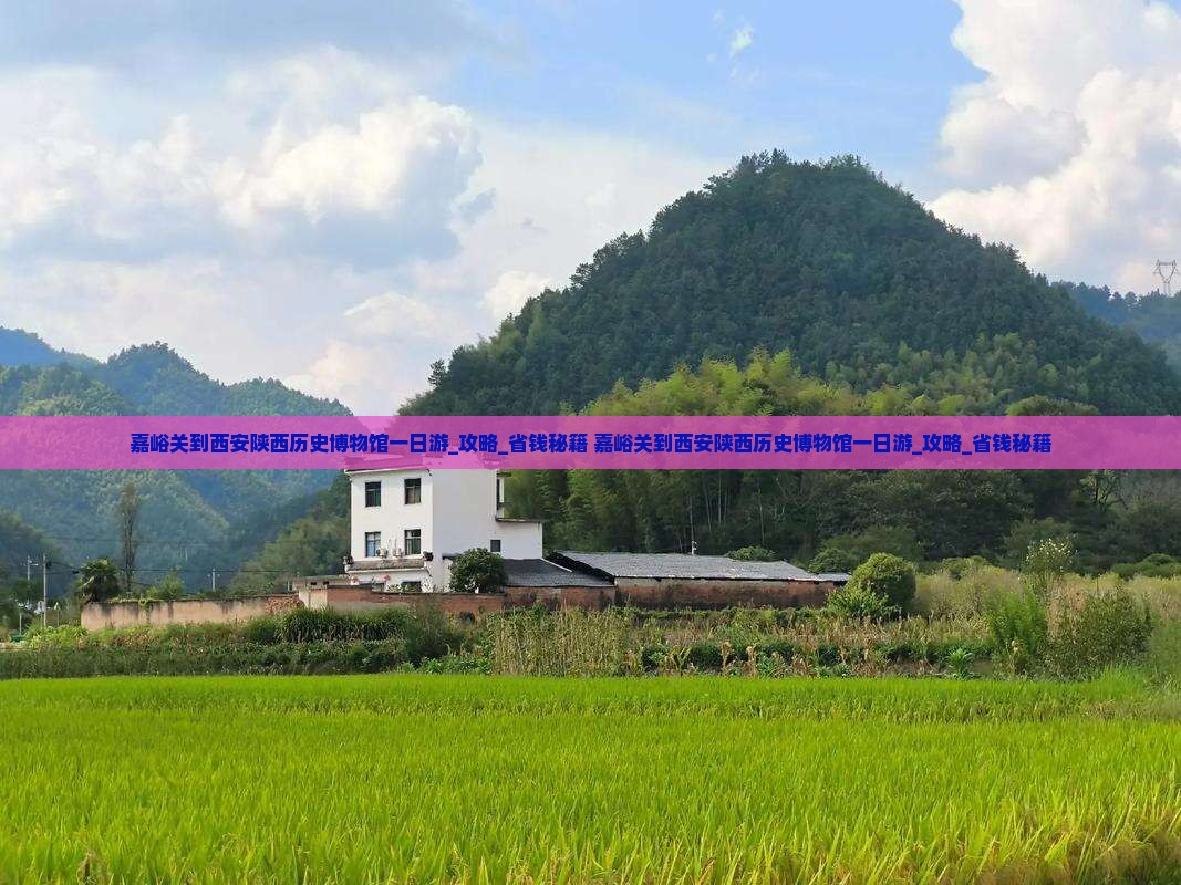 嘉峪关到西安陕西历史博物馆一日游