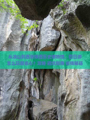 凉山去西安陕西历史博物馆四日游