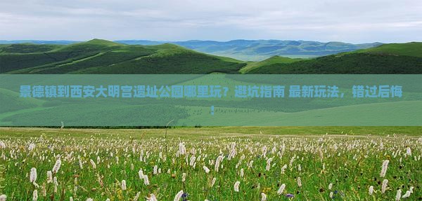 景德镇到西安大明宫国家遗址公园哪里玩