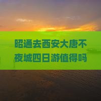 昭通去西安大唐不夜城四日游