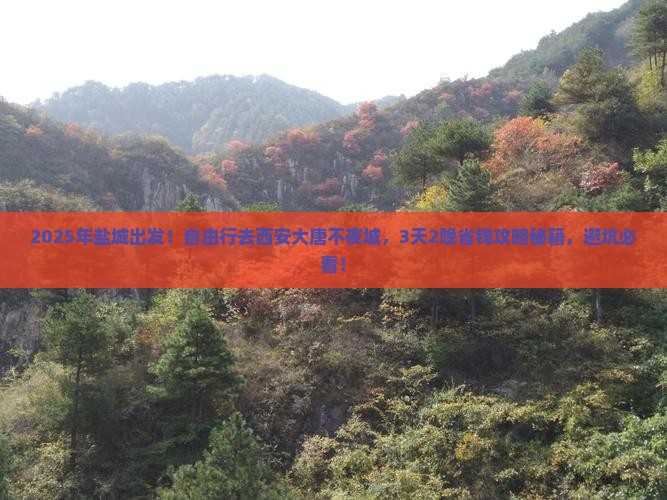 盐城到西安大唐不夜城自由行