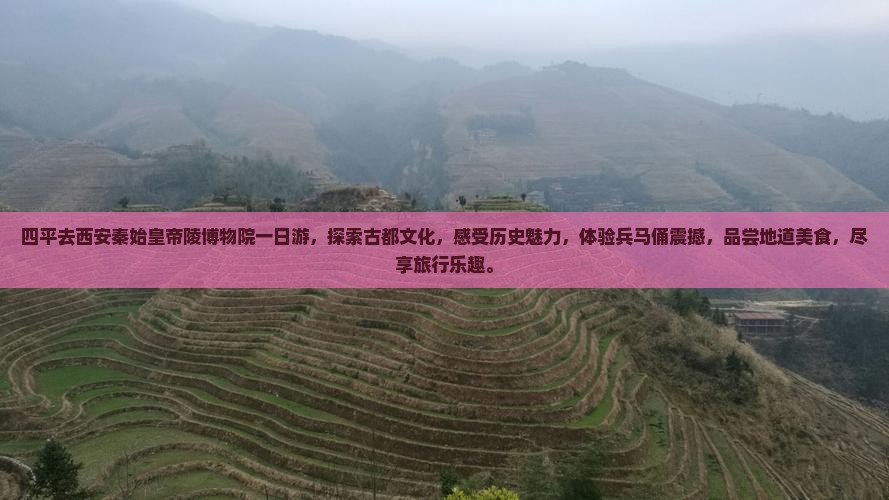 四平去西安秦始皇帝陵博物院一日游