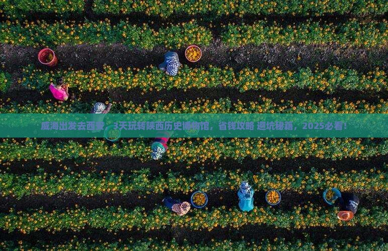 威海到西安陕西历史博物馆旅行社