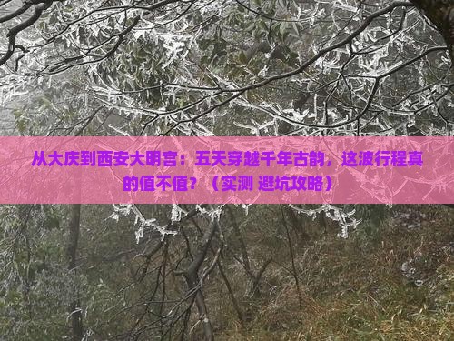 大庆到西安大明宫国家遗址公园五日游