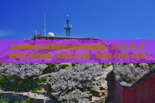 威海到西安大明宫国家遗址公园大型旅游团
