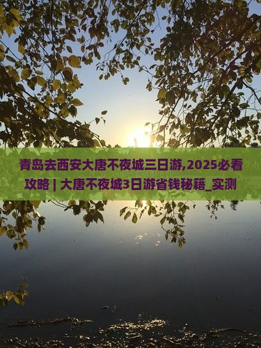 青岛去西安大唐不夜城三日游