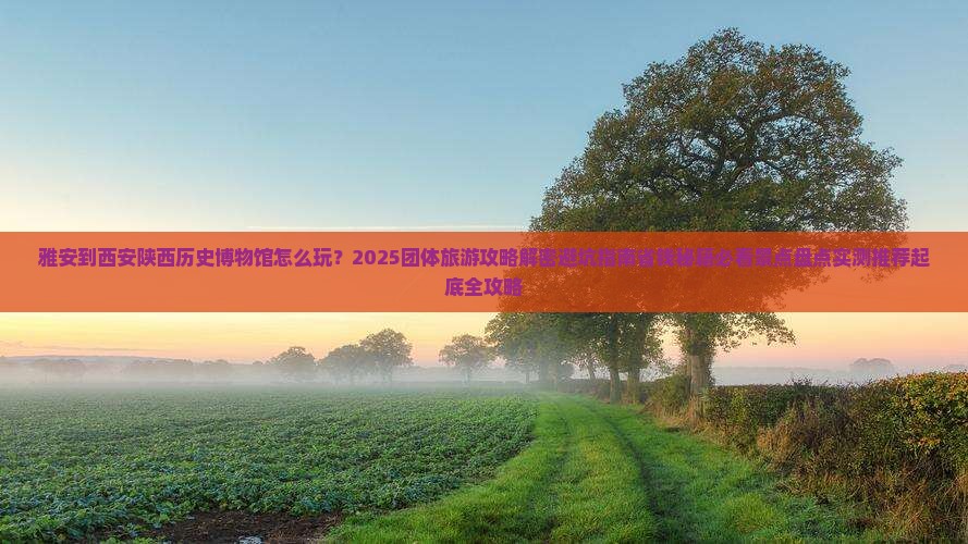 雅安到西安陕西历史博物馆团体旅游