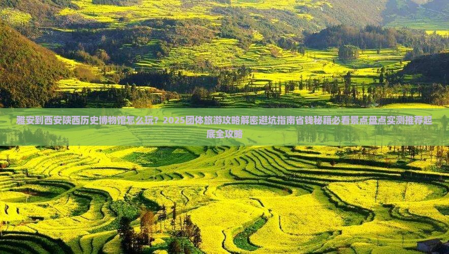 雅安到西安陕西历史博物馆团体旅游