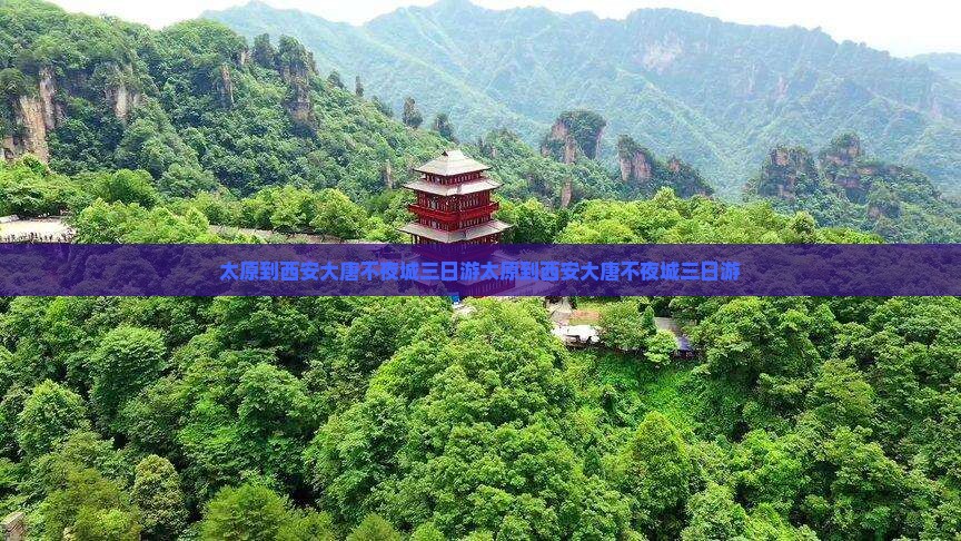 太原到西安大唐不夜城三日游