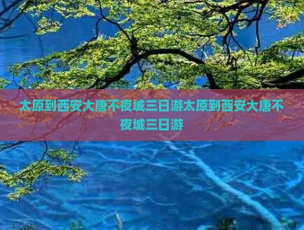 太原到西安大唐不夜城三日游