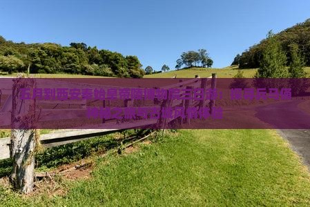 五月到西安秦始皇帝陵博物院三日游：探寻兵马俑神秘之旅与古城风情体验