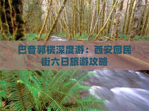 巴音郭楞深度游：西安回民街六日旅游攻略
