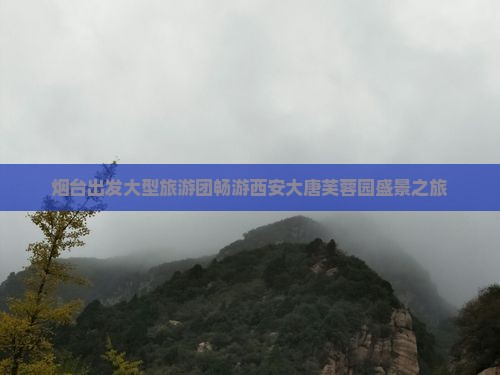 烟台出发大型旅游团畅游西安大唐芙蓉园盛景之旅
