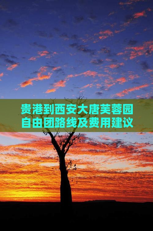 贵港到西安大唐芙蓉园自由团路线及费用建议
