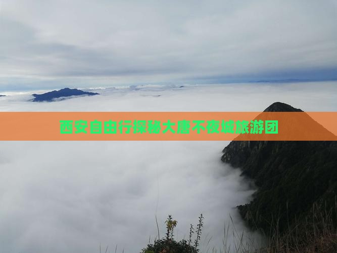 西安自由行探秘大唐不夜城旅游团