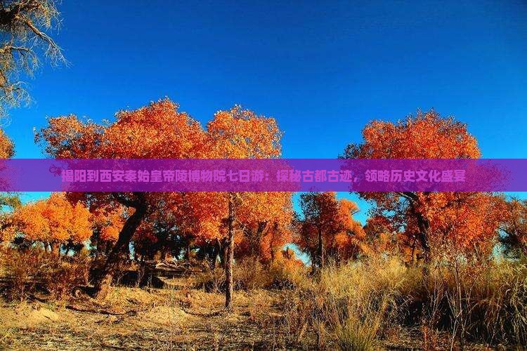 揭阳到西安秦始皇帝陵博物院七日游：探秘古都古迹，领略历史文化盛宴