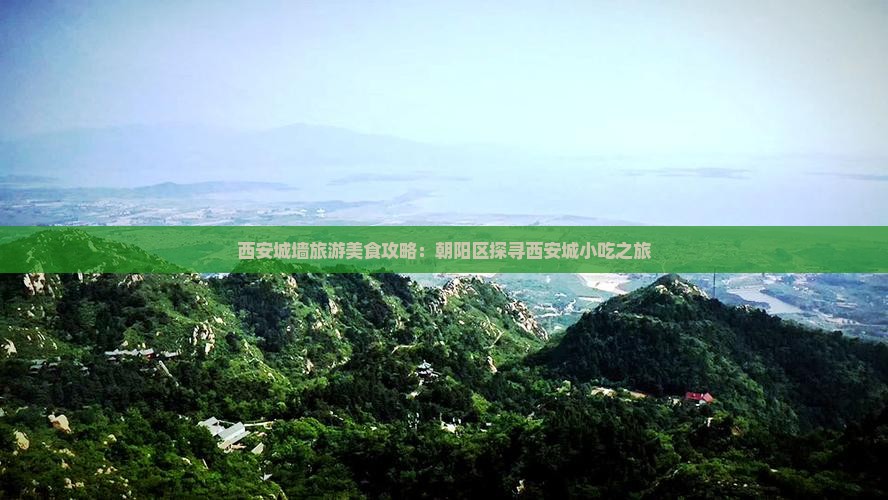 西安城墙旅游美食攻略：朝阳区探寻西安城小吃之旅