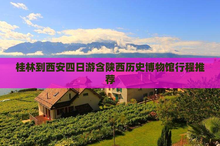 桂林到西安四日游含陕西历史博物馆行程推荐