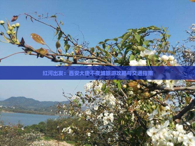 红河出发：西安大唐不夜城旅游攻略与交通指南